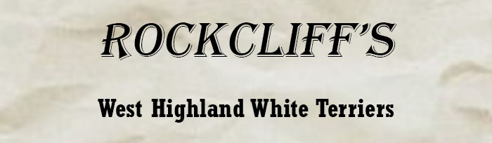 Rockcliffsbanner